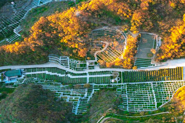 九公山长城纪念林秋季