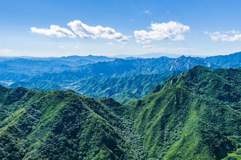 九公山长城纪念林福泽聚祥瑞,尊重