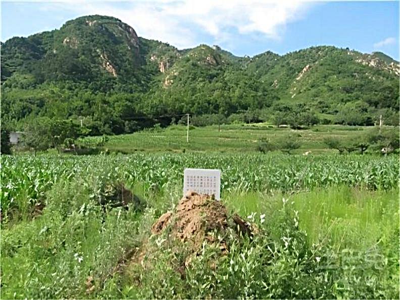 北京迁坟补贴多少钱？政府征地补偿标准是什么？